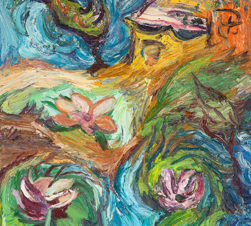 H akiraNena ζωγραφίζει ένα νουφαρόσπιτο